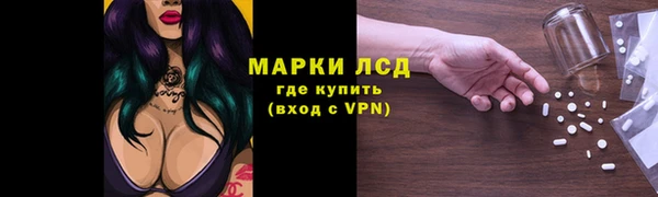винт Гатчина